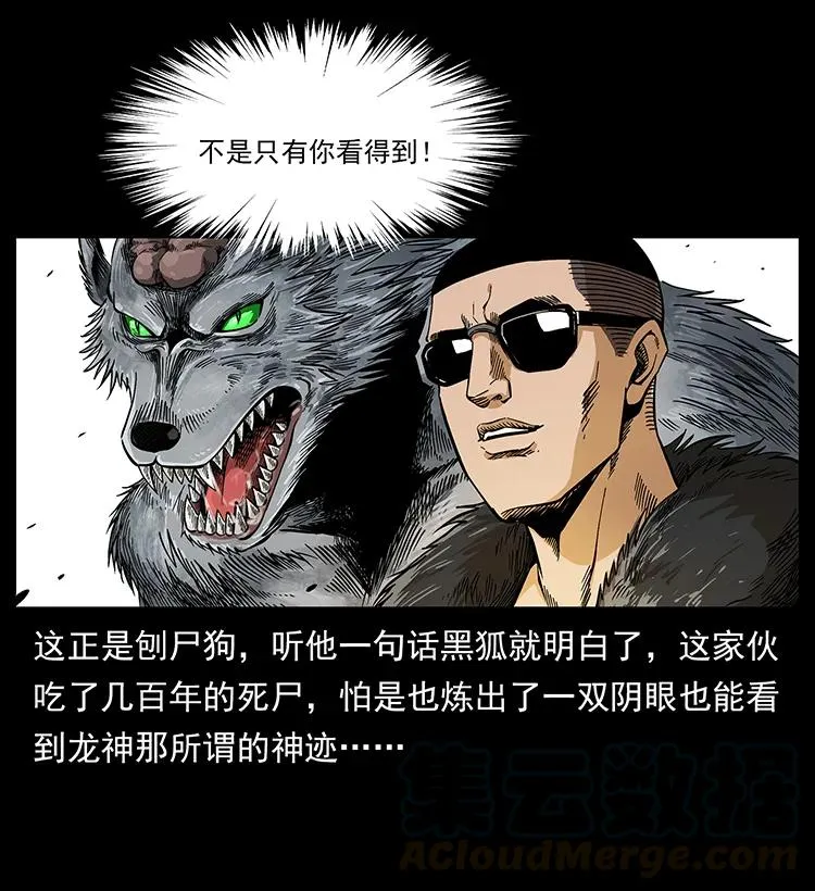 195 龙神 第53页
