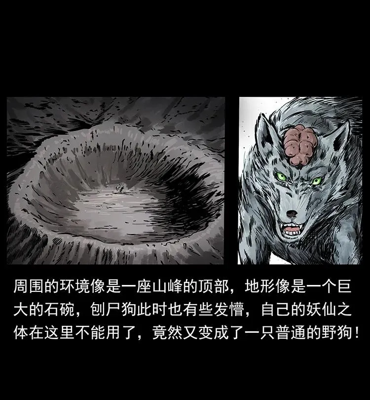 197 神之眼 第50页