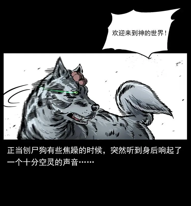 197 神之眼 第51页