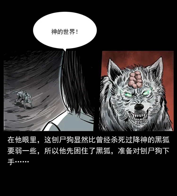 197 神之眼 第54页