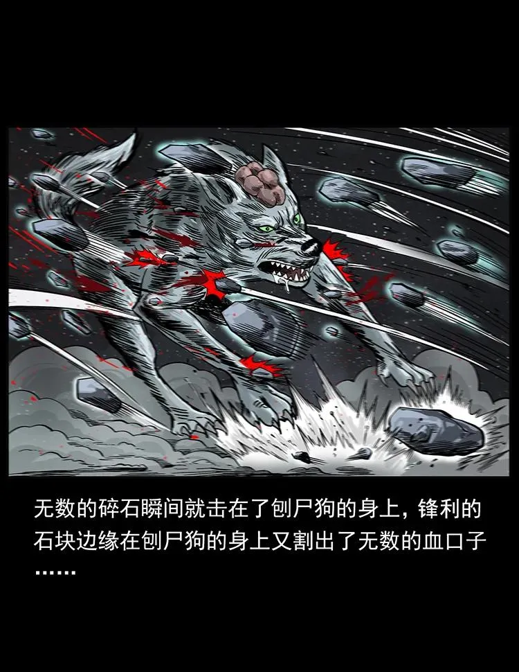 197 神之眼 第66页