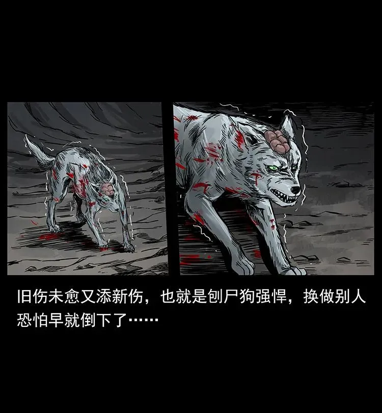 197 神之眼 第67页