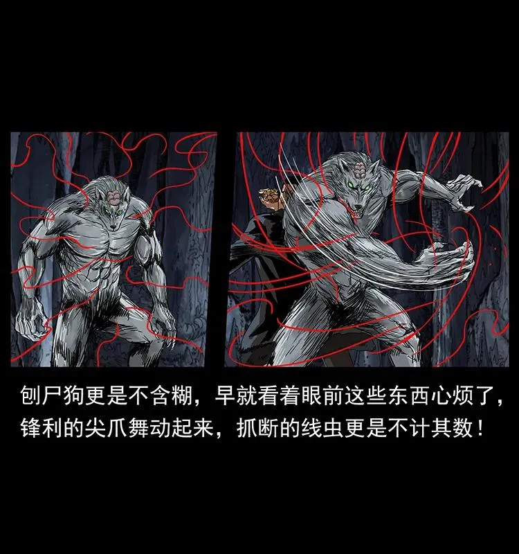 198 神级又如何 第66页