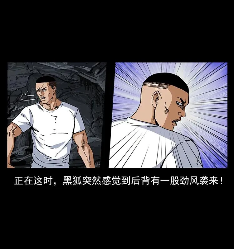 199 黑狐不好惹 第15页