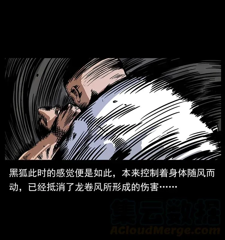 199 黑狐不好惹 第25页