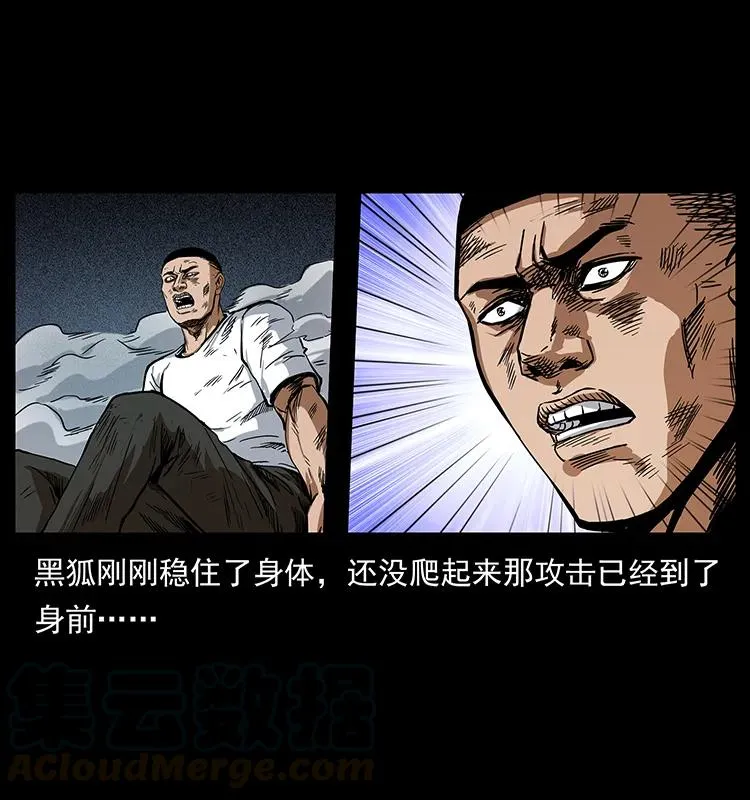 199 黑狐不好惹 第29页
