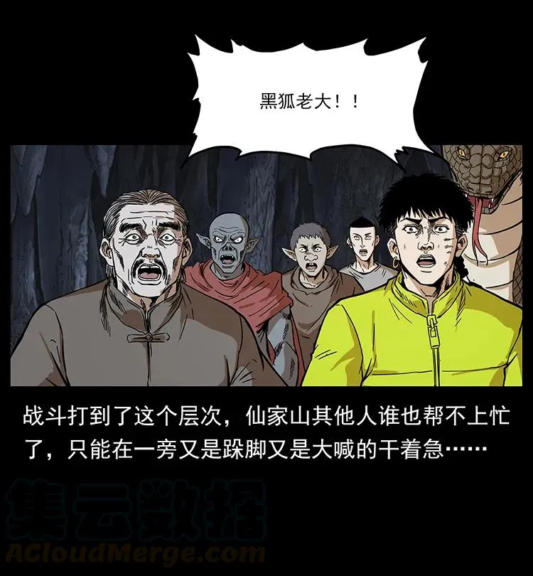 199 黑狐不好惹 第33页