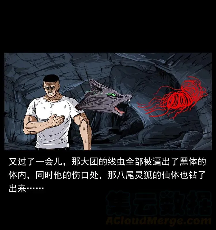 199 黑狐不好惹 第41页
