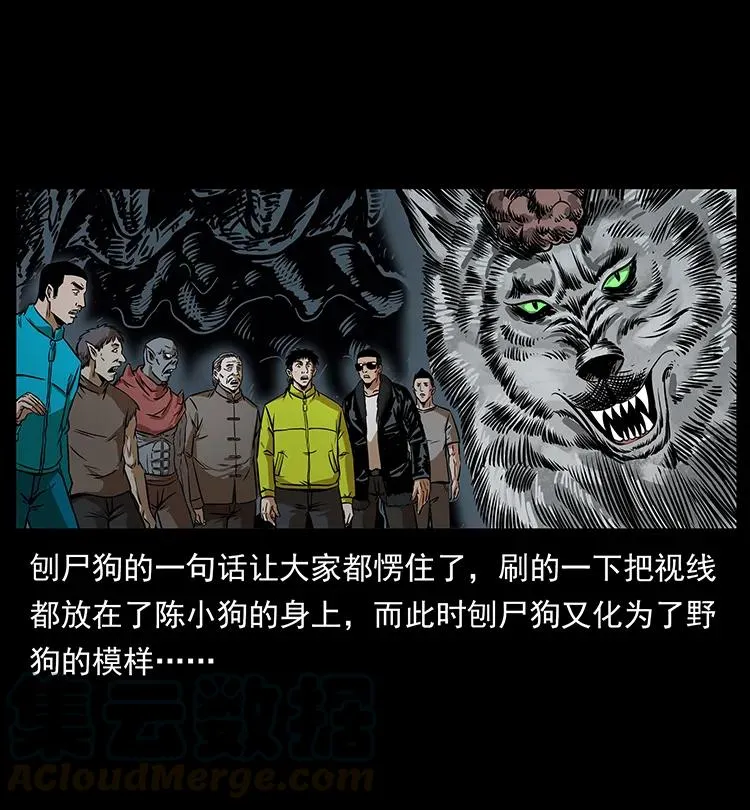 201 神之陨落 第65页