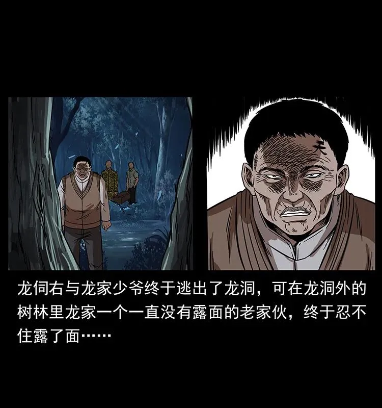 202 龙胆 第7页