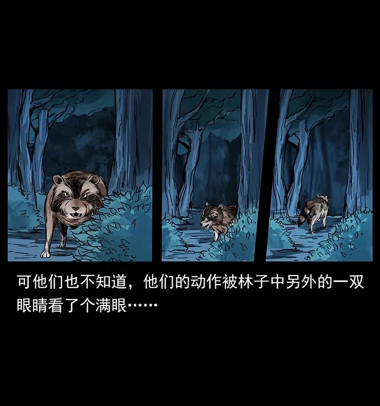 202 龙胆 第11页