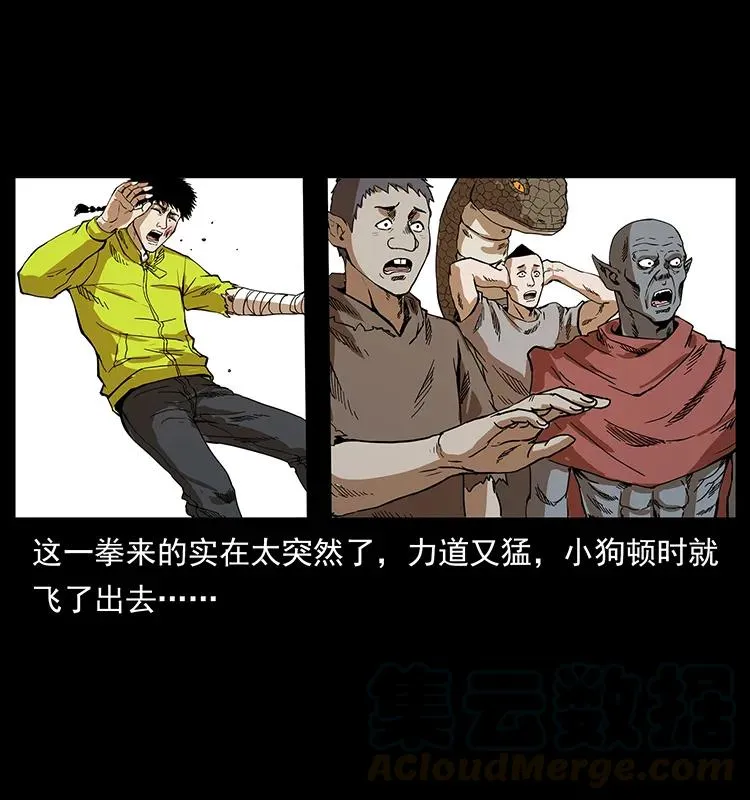 202 龙胆 第21页