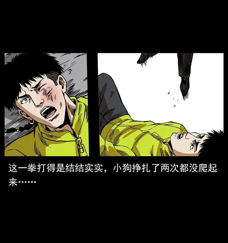 202 龙胆 第23页