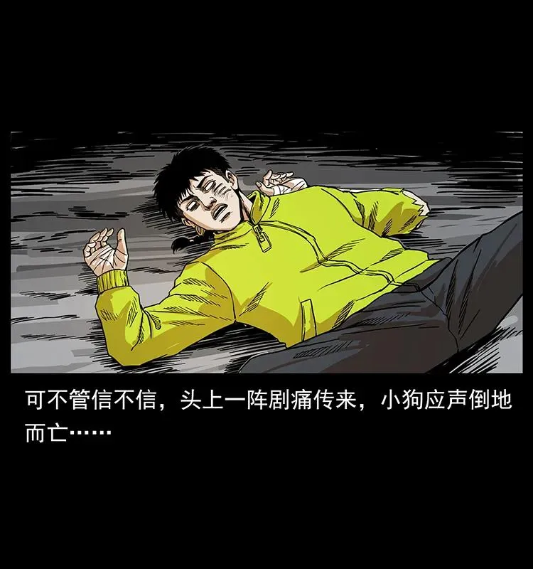 202 龙胆 第26页