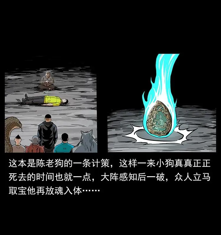 202 龙胆 第31页