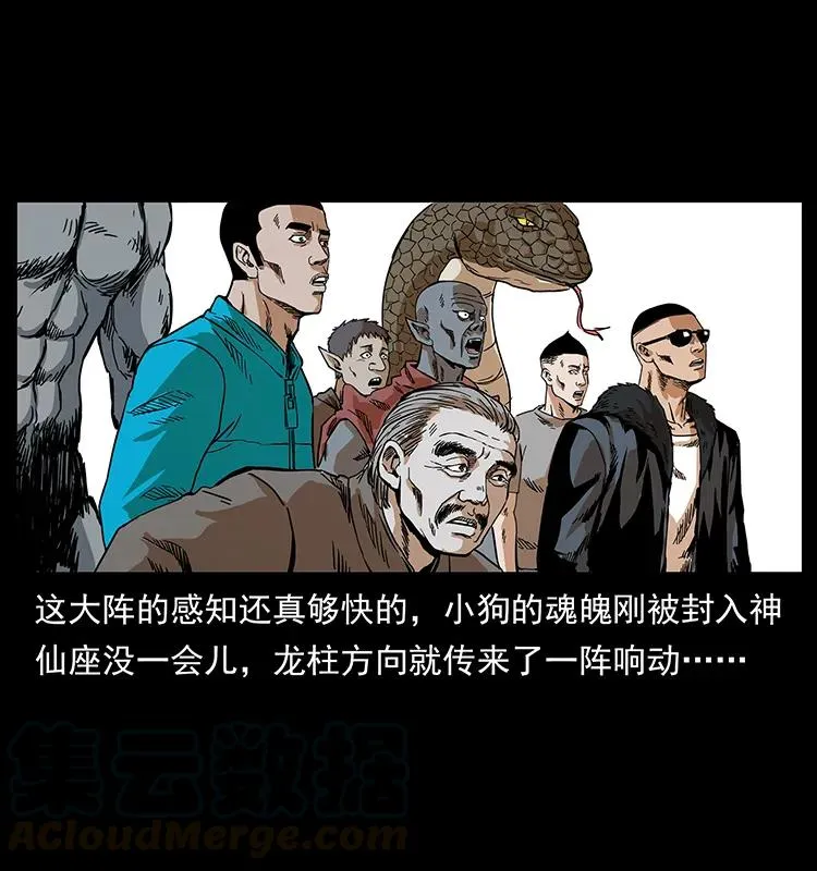 202 龙胆 第33页
