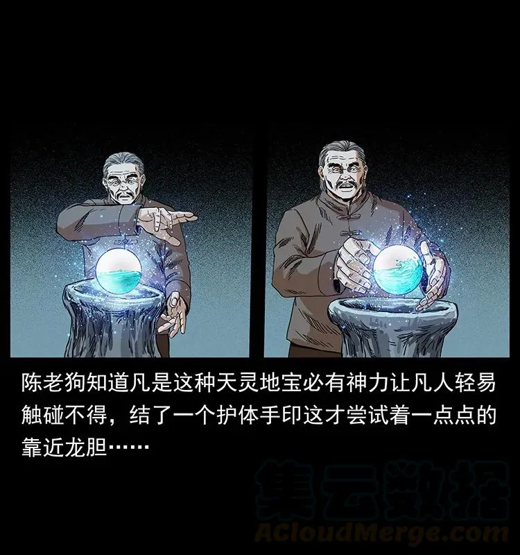 202 龙胆 第45页