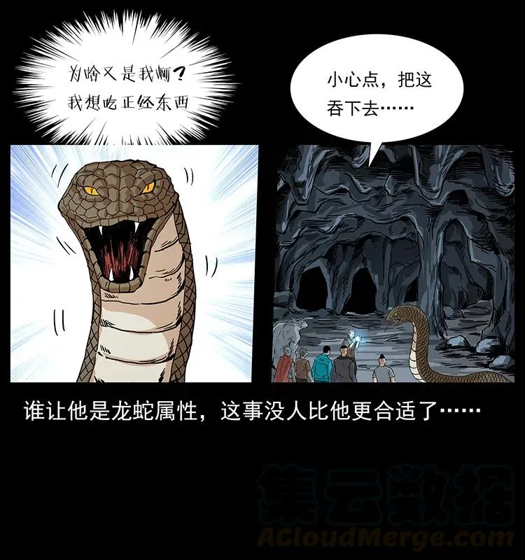202 龙胆 第49页