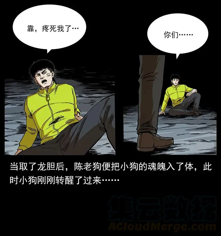 202 龙胆 第53页