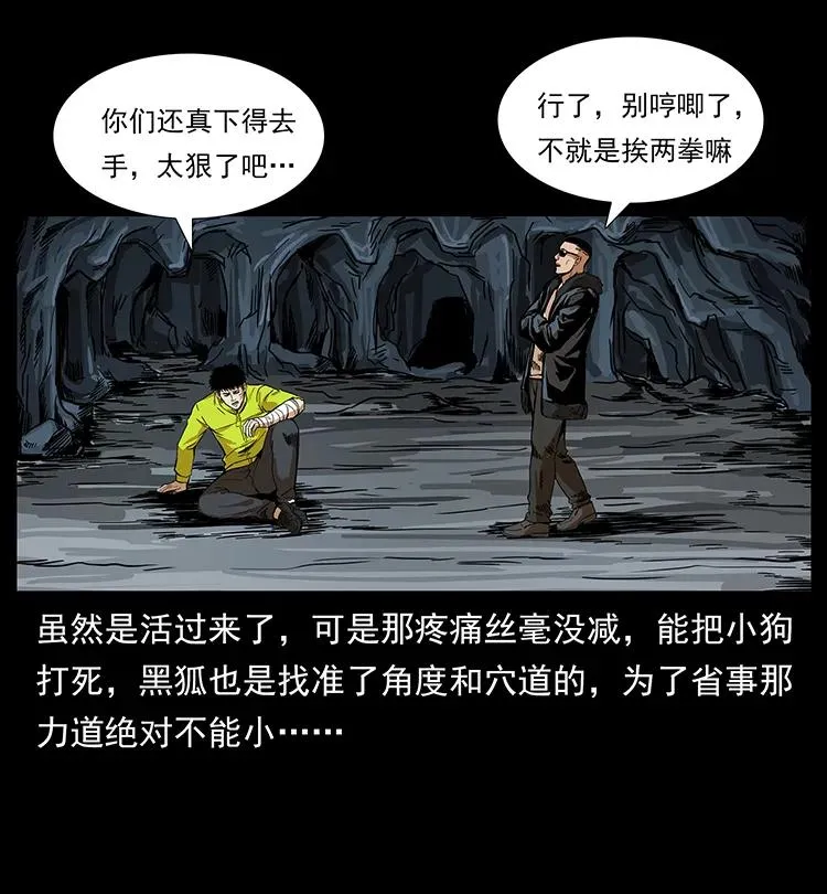 202 龙胆 第54页