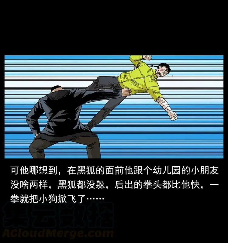 202 龙胆 第65页