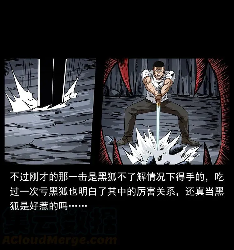 200 灵狐剑 第53页
