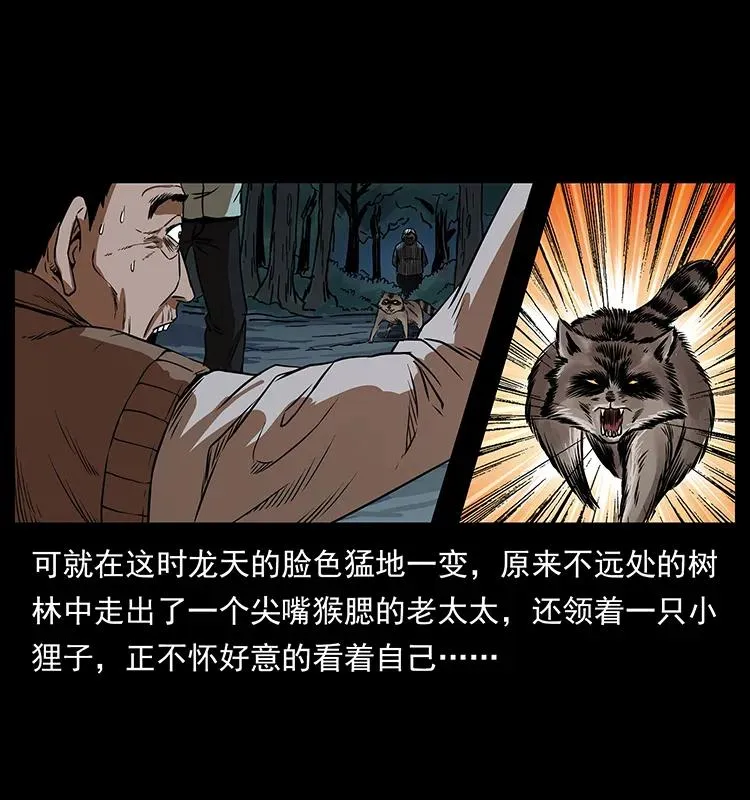 203 命丧龙洞 第15页