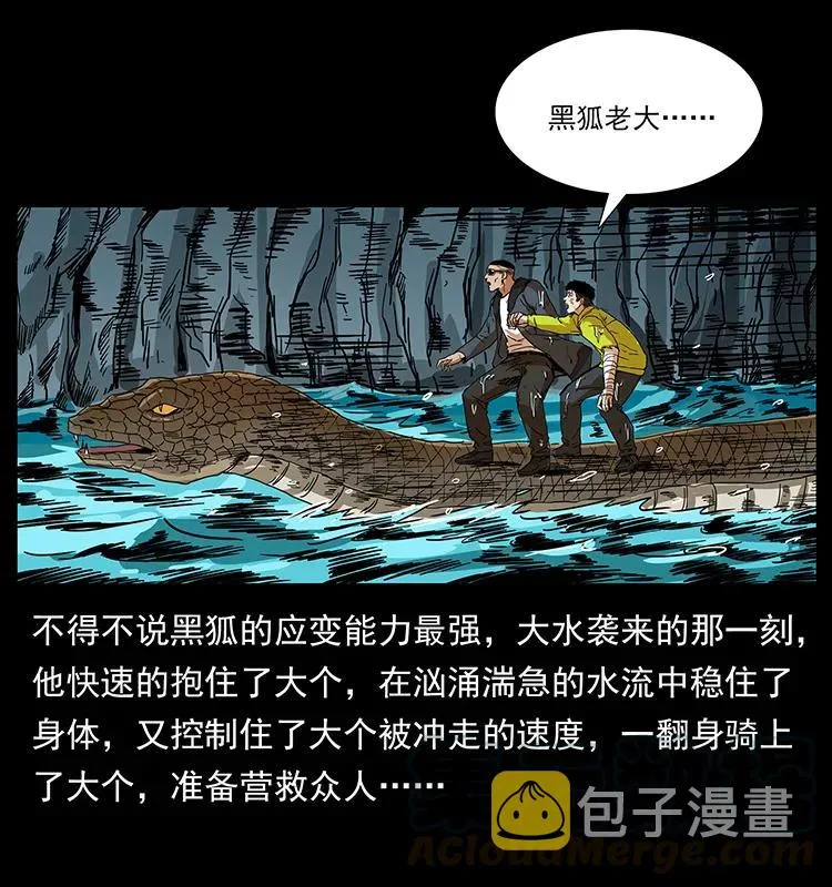 203 命丧龙洞 第29页