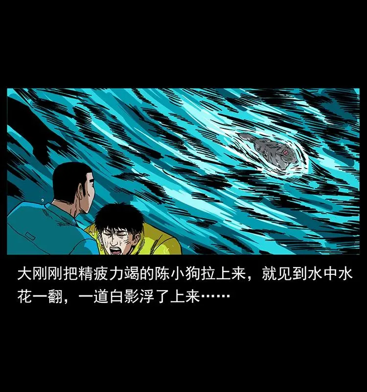 203 命丧龙洞 第43页