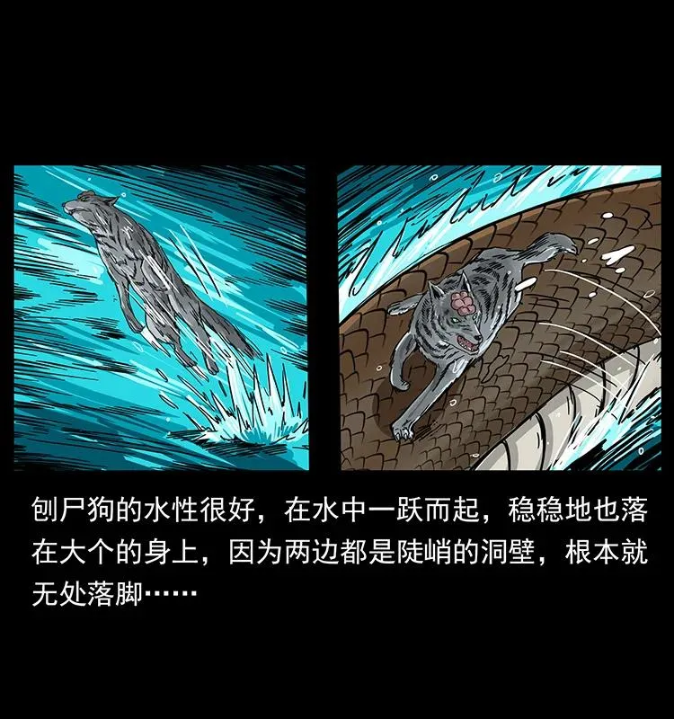 203 命丧龙洞 第44页