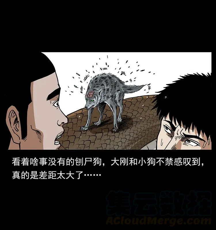 203 命丧龙洞 第45页