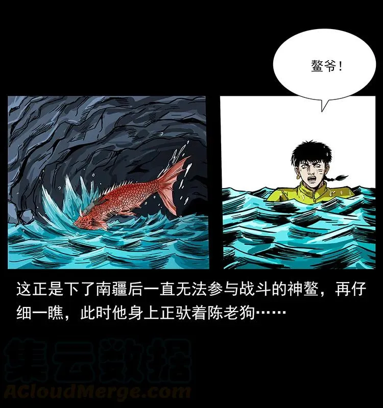 203 命丧龙洞 第65页
