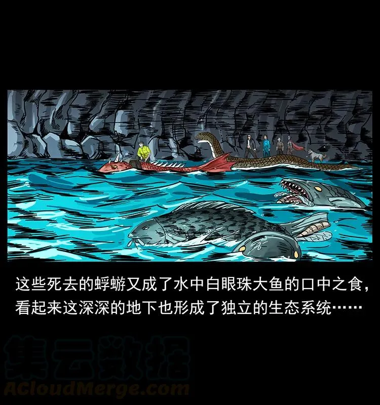 203 命丧龙洞 第77页