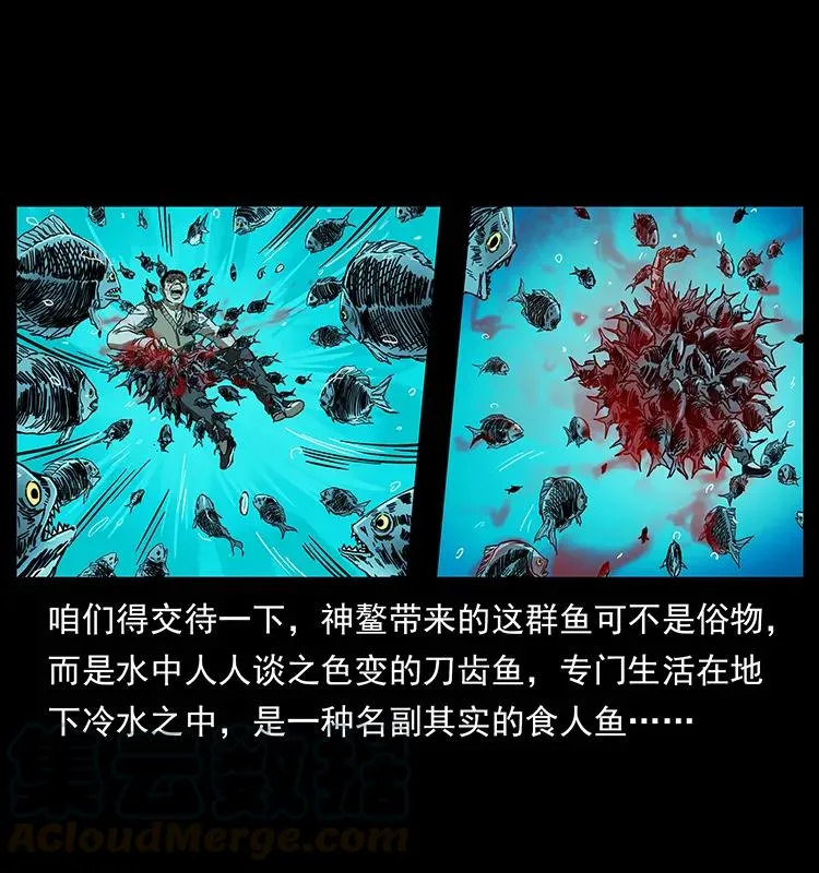 204 回家！ 第61页