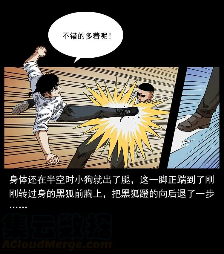 206 不断成长的陈小狗 第29页