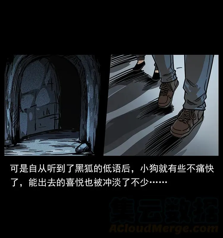 206 不断成长的陈小狗 第49页
