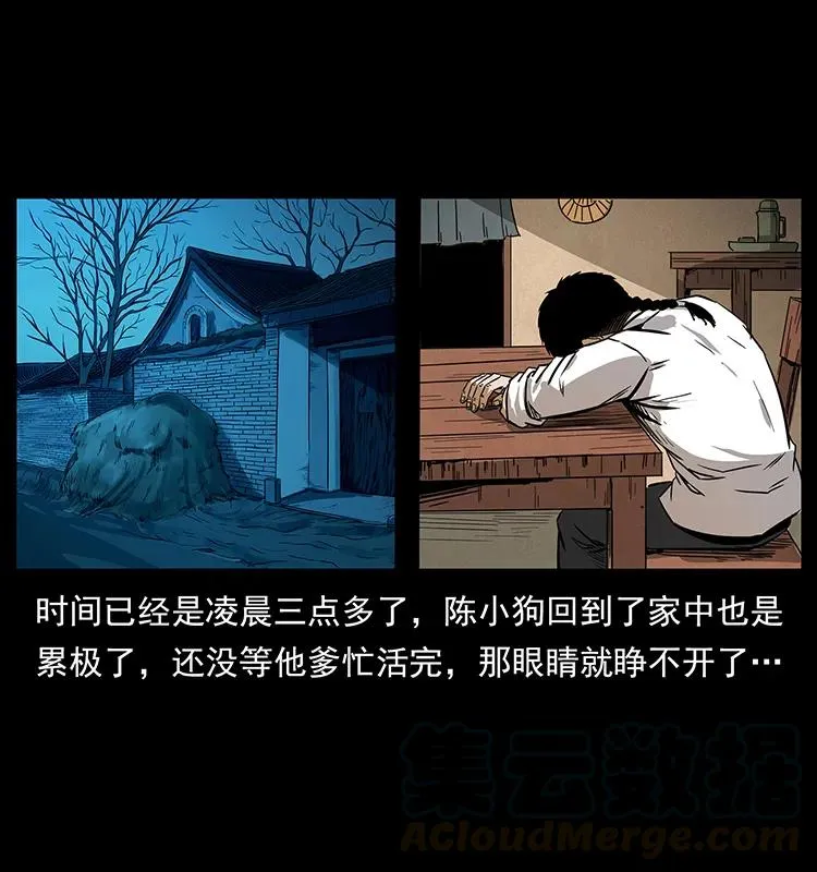 206 不断成长的陈小狗 第53页