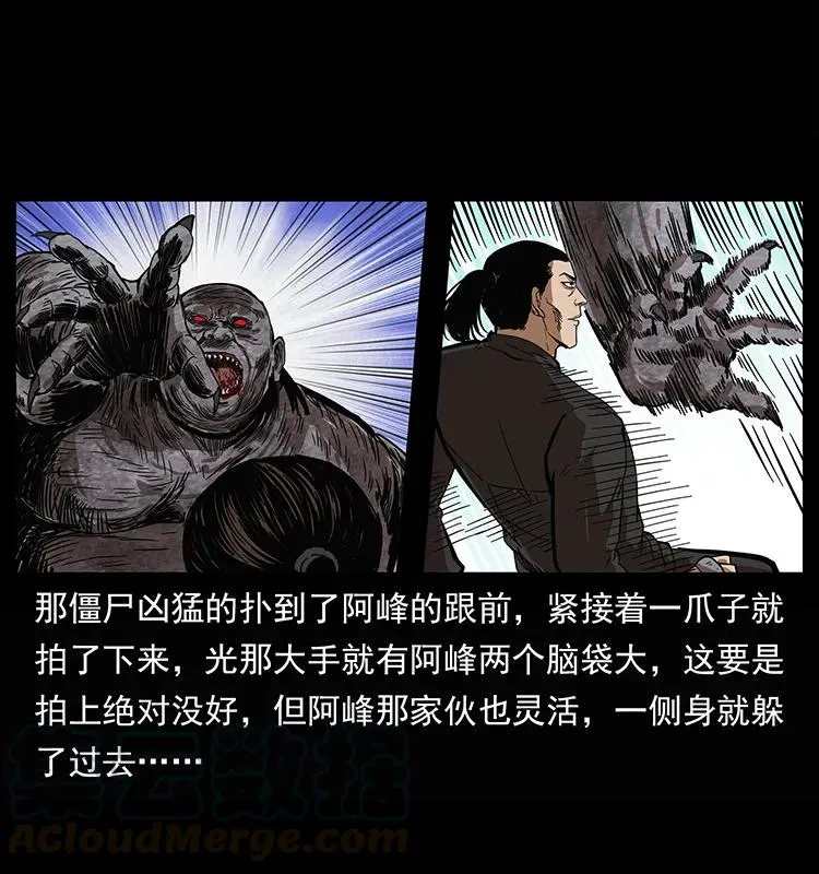 208 哪来的尸王 第41页