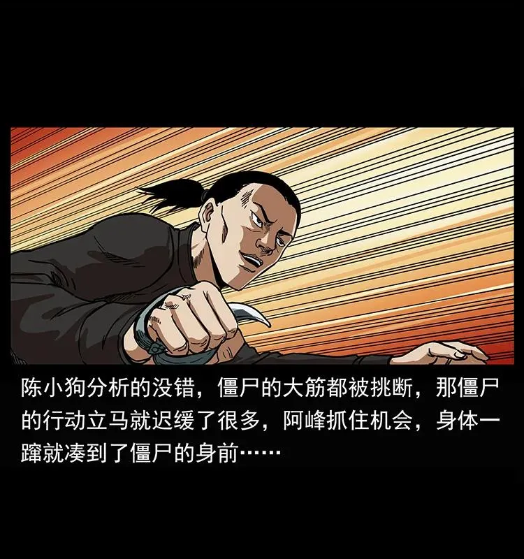208 哪来的尸王 第47页