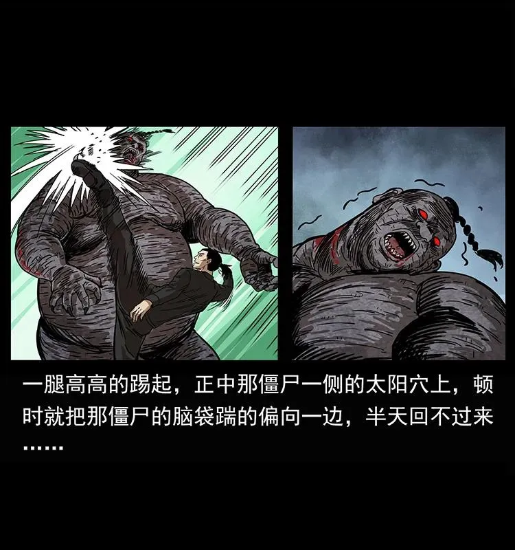 208 哪来的尸王 第48页