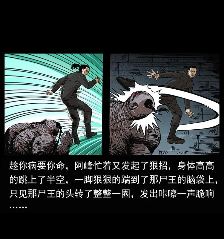 208 哪来的尸王 第51页