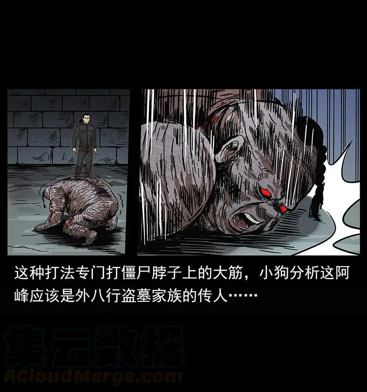 208 哪来的尸王 第53页