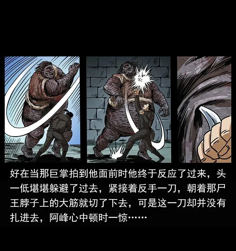 208 哪来的尸王 第63页