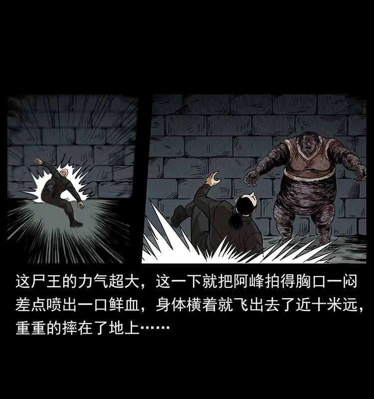 208 哪来的尸王 第66页