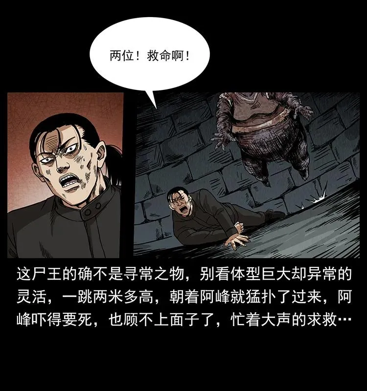 208 哪来的尸王 第67页