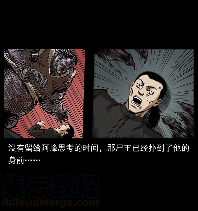 208 哪来的尸王 第69页