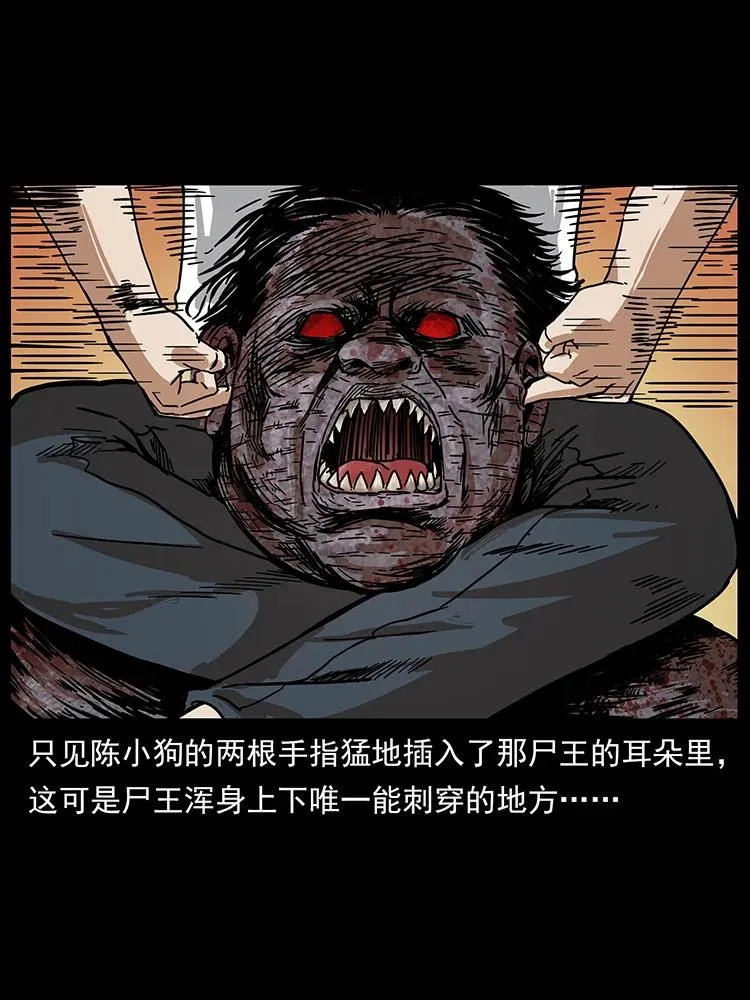 208 哪来的尸王 第79页