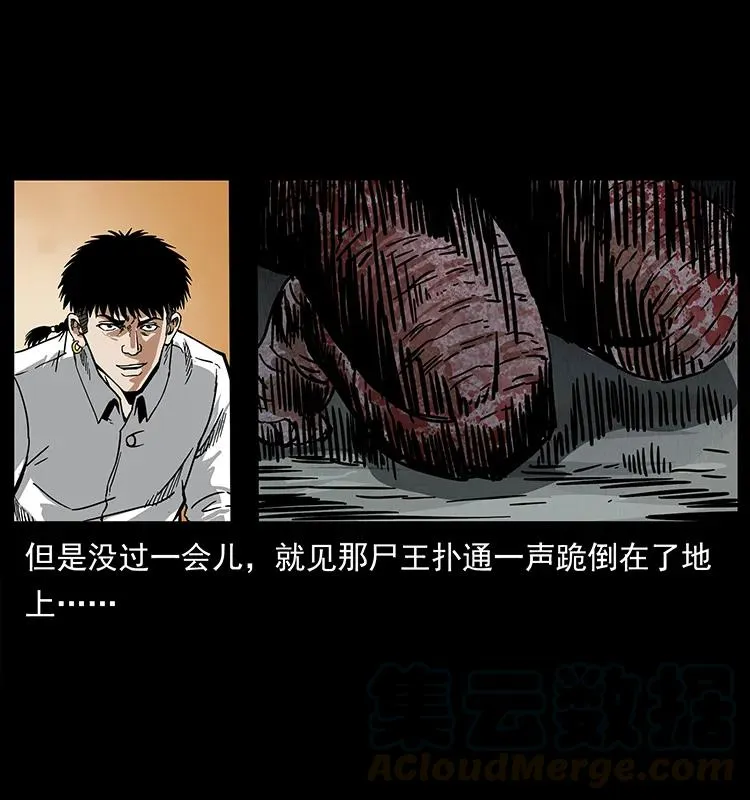208 哪来的尸王 第81页