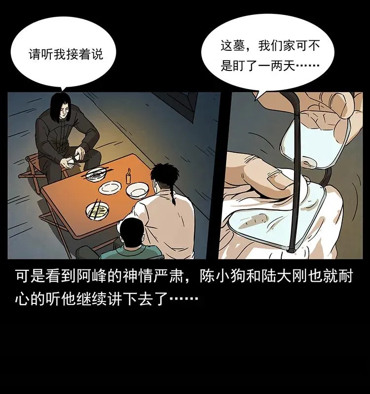 210 漠北皇陵 第71页