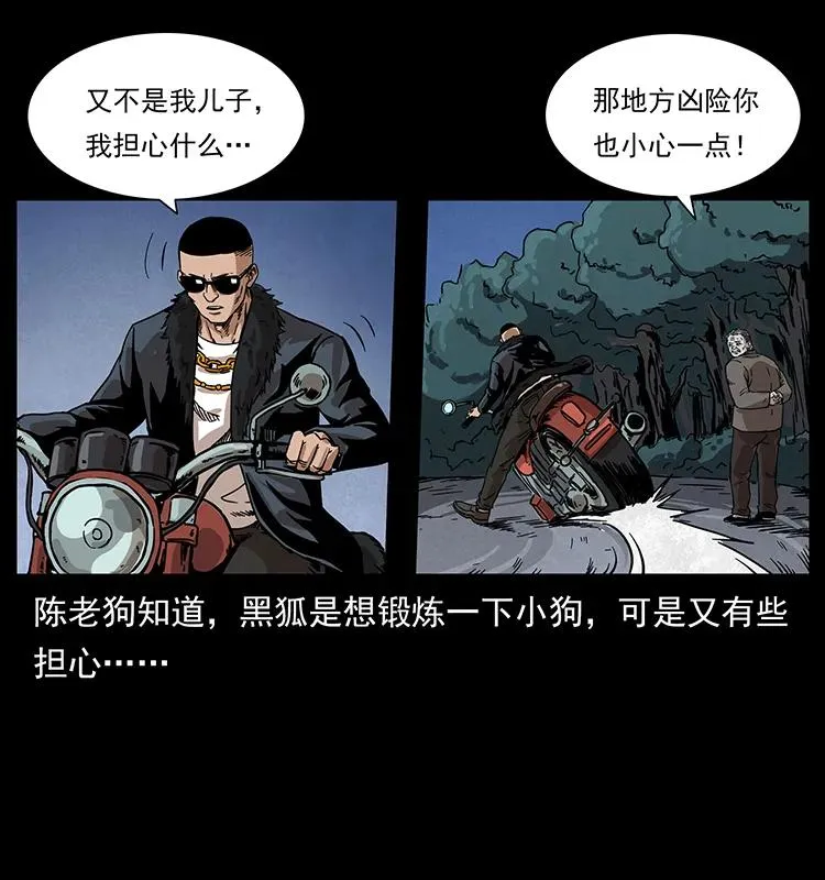 211 三代人的一座墓 第82页